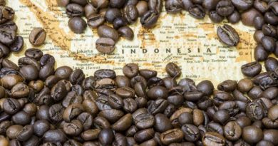 Best Indonesian Specialty Coffee