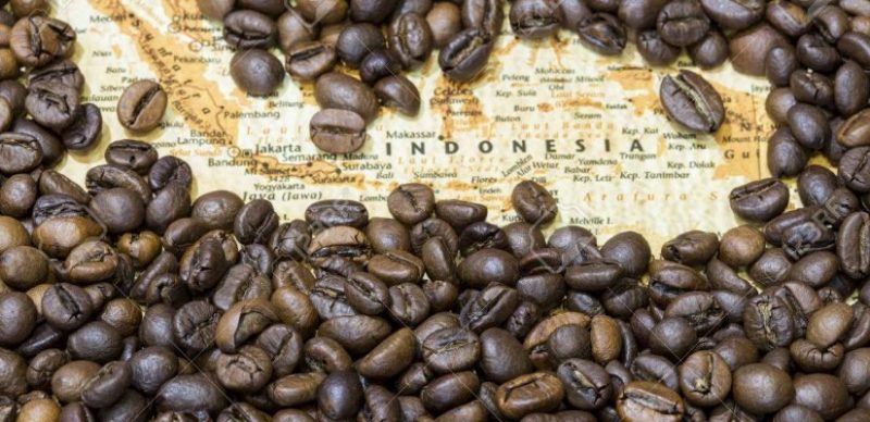 Indonesia Specialty Coffee