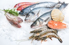 Aneka seafood, ikan, udang di bekukan di cold storage ikan