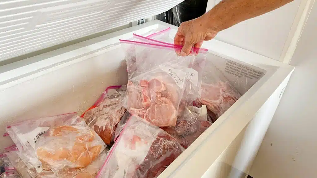 Sewa Freezer Daging